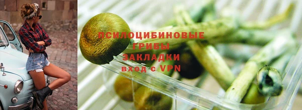 гидра Лагань