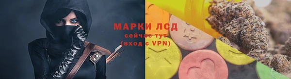 PSILOCYBIN Ладушкин