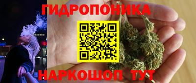 амф Краснознаменск