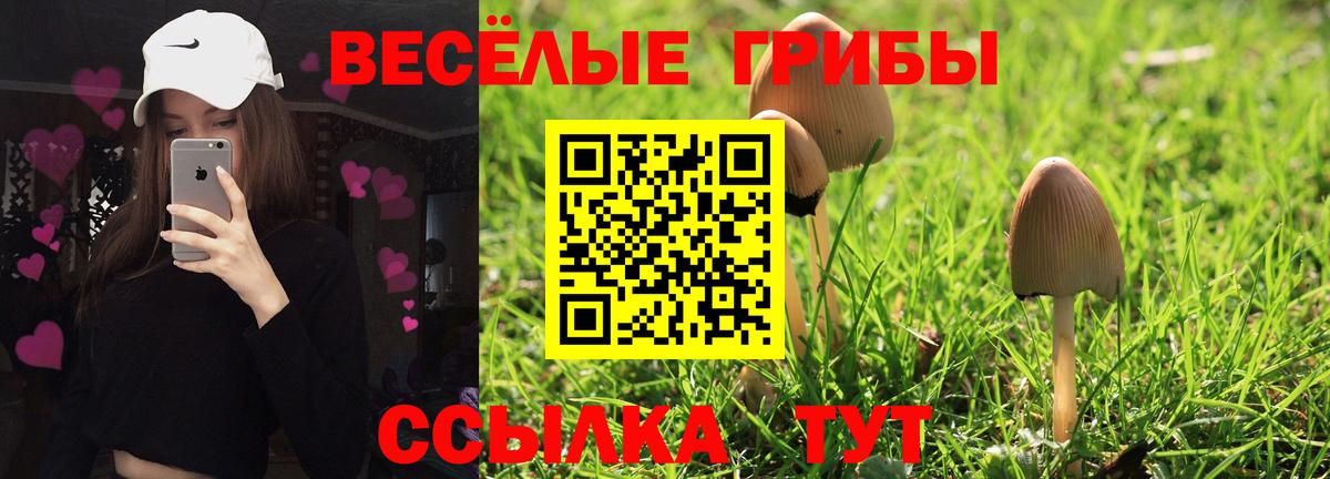 Псилоцибиновые грибы мухоморы Кудымкар