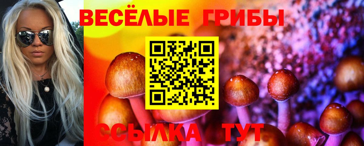 закладки  Галлюциногенные грибы Magic Shrooms  Вход с VPN  Кудымкар 